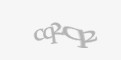 Қорғаныс коды